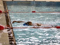 Large Pool Lengths 12